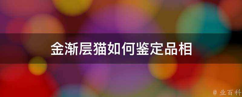 金漸層貓如何鑑定品相