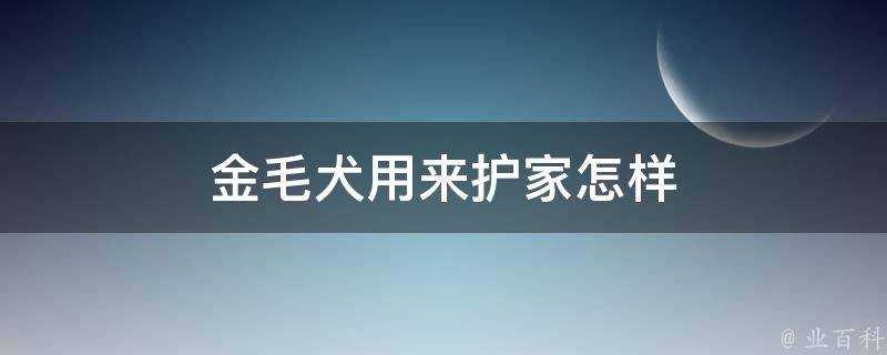 金毛犬用來護家怎樣