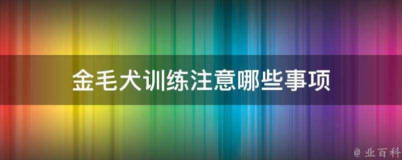 金毛犬訓練注意哪些事項