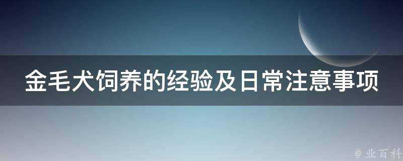 金毛犬飼養的經驗及日常注意事項