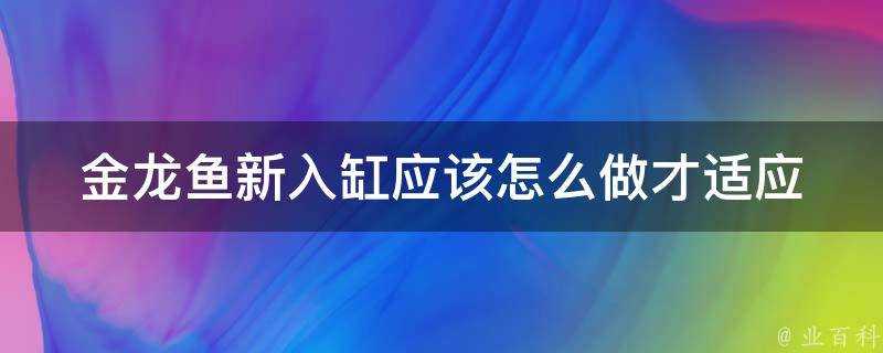 金龍魚新入缸應該怎麼做才適應