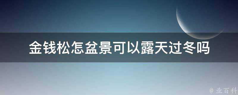 金錢松怎盆景可以露天過冬嗎