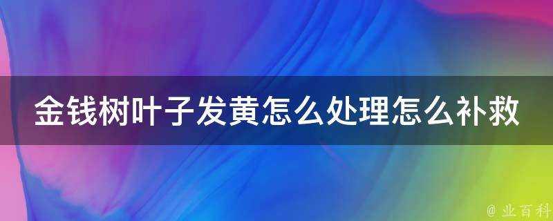 金錢樹葉子發黃怎麼處理怎麼補救