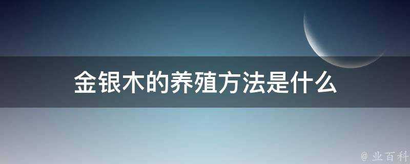 金銀木的養殖方法是什麼