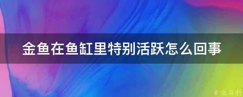 金魚在魚缸裡特別活躍怎麼回事