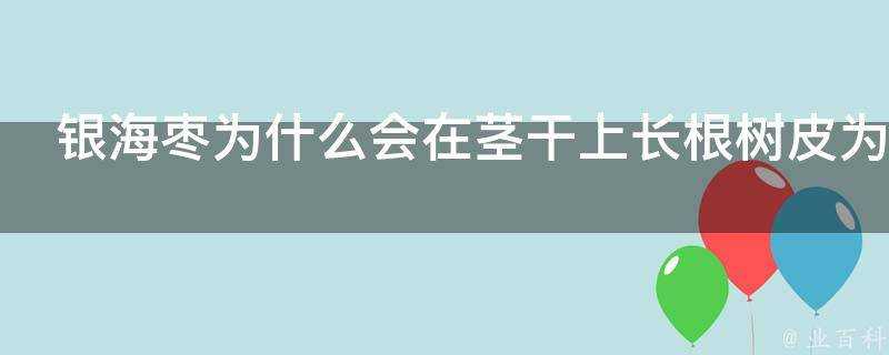 銀海棗為什麼會在莖幹上長根樹皮為何發白