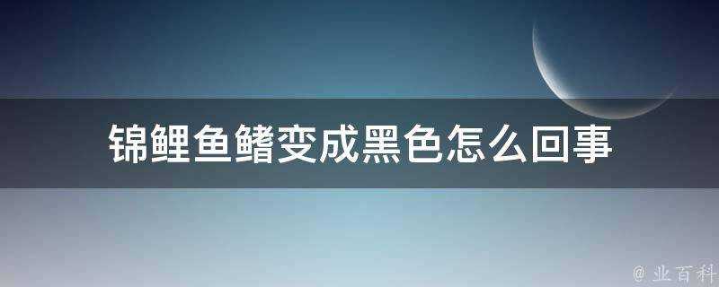 錦鯉魚鰭變成黑色怎麼回事