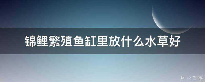 錦鯉繁殖魚缸裡放什麼水草好