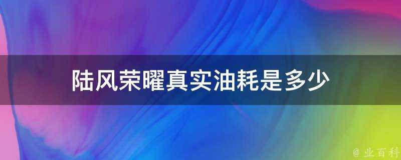 陸風榮曜真實油耗是多少