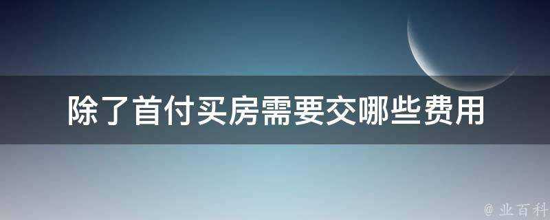 除了首付買房需要交哪些費用