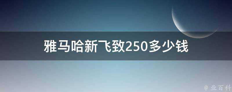 雅馬哈新飛致250多少錢