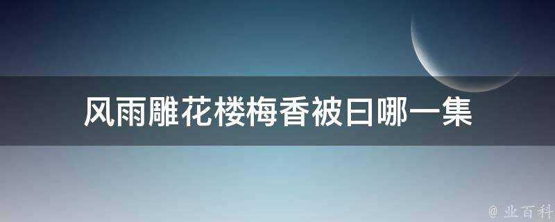 風雨雕花樓梅香被曰哪一集