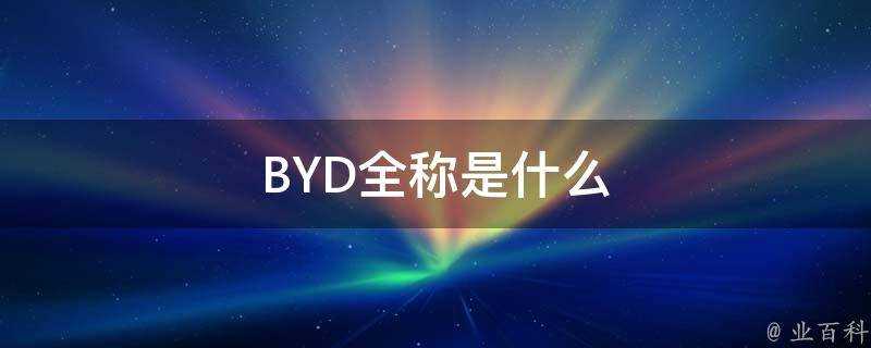 BYD全稱是什麼