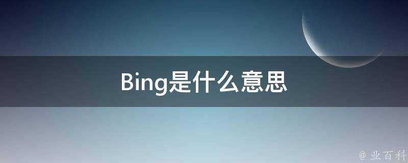 Bing是什麼意思
