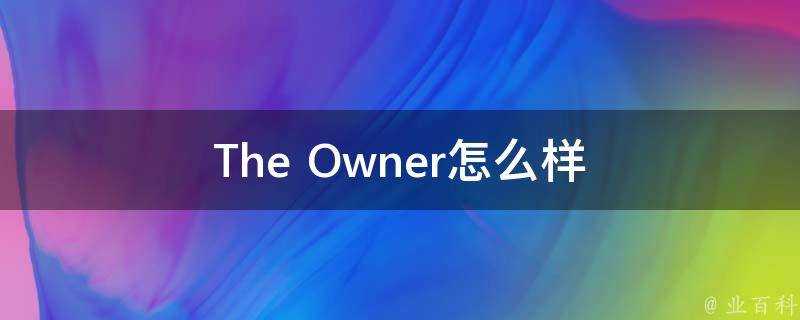 The Owner怎麼樣