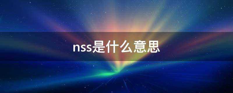 nss是什麼意思