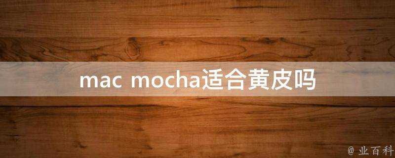 mac mocha適合黃皮嗎