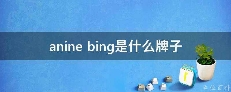 anine bing是什麼牌子