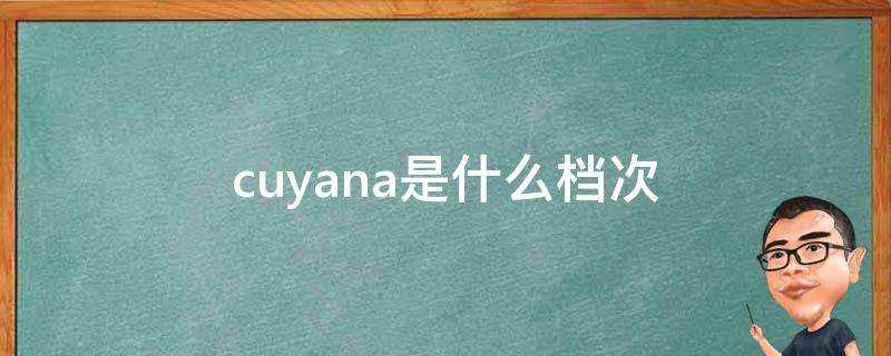 cuyana是什麼檔次