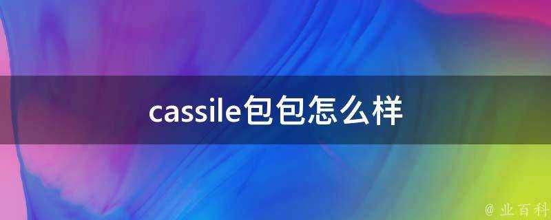 cassile包包怎麼樣