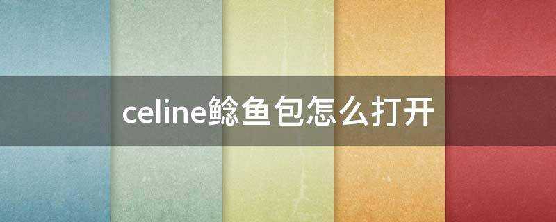 celine鯰魚包怎麼開啟