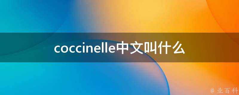 coccinelle中文叫什麼