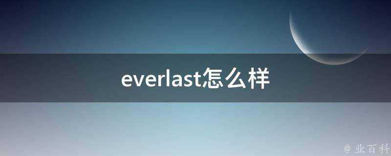 everlast怎麼樣