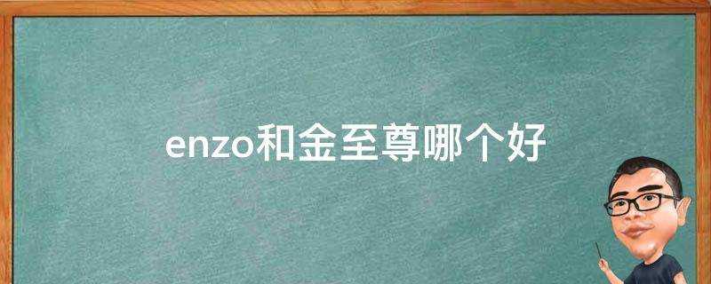 enzo和金至尊哪個好