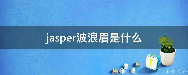 jasper波浪眉是什麼