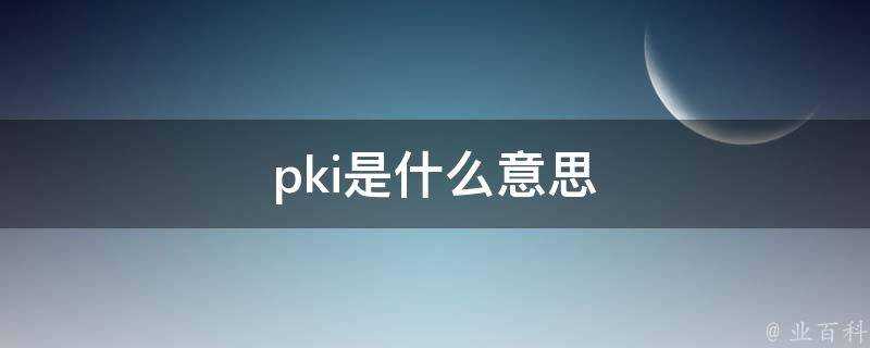 pki是什麼意思