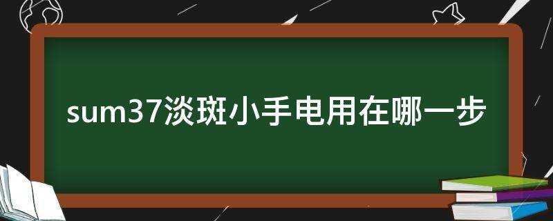 sum37淡斑小手電用在哪一步