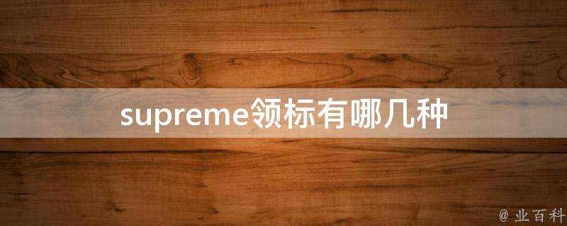 supreme領標有哪幾種