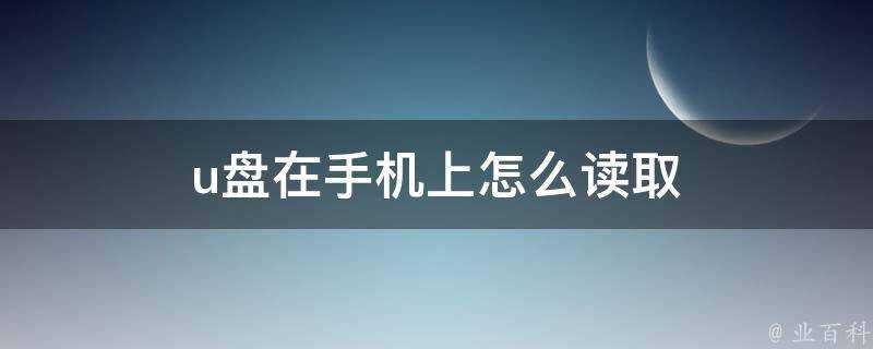 u盤在手機上怎麼讀取