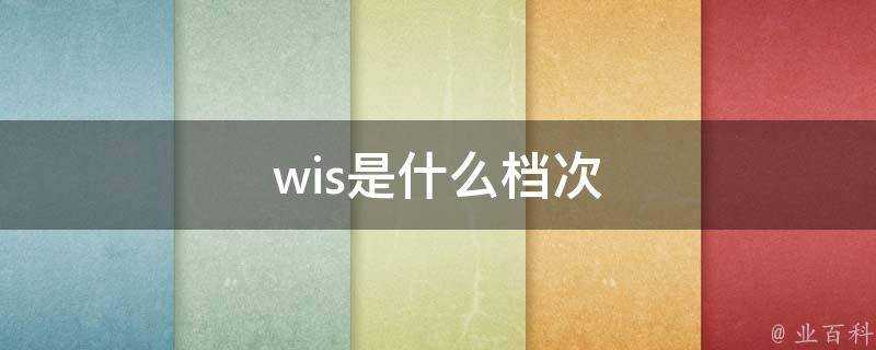 wis是什麼檔次