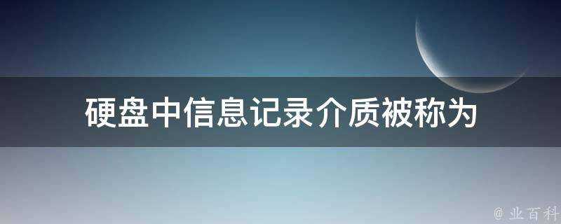 硬碟中資訊記錄介質被稱為