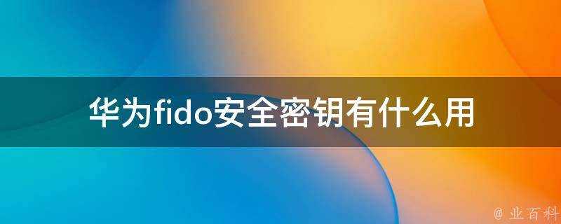 華為fido安全金鑰有什麼用