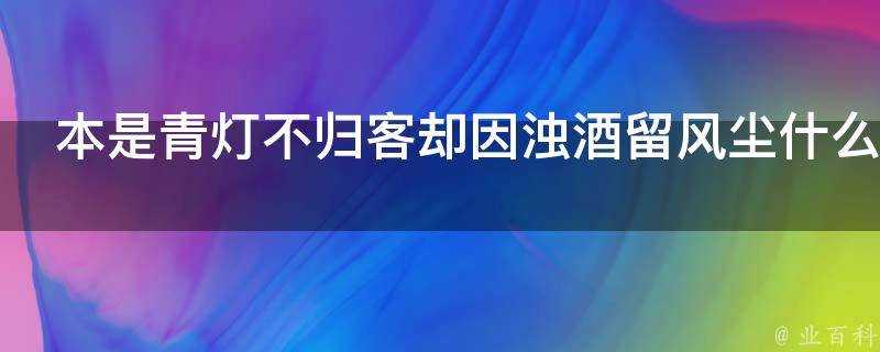 本是青燈不歸客卻因濁酒留風塵什麼意思