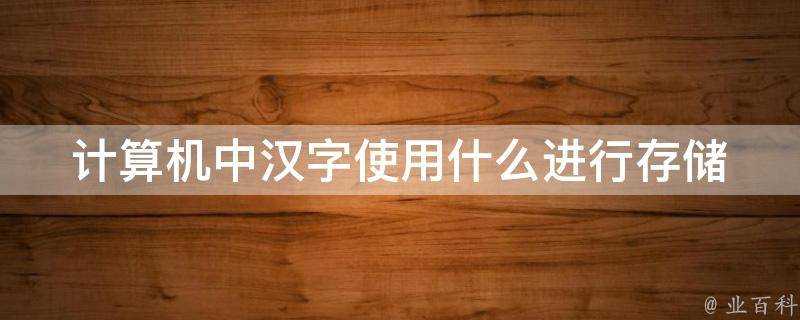 計算機中漢字使用什麼進行儲存