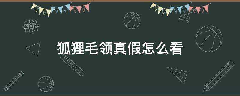 狐狸毛領真假怎麼看