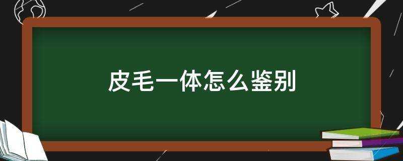 皮毛一體怎麼鑑別