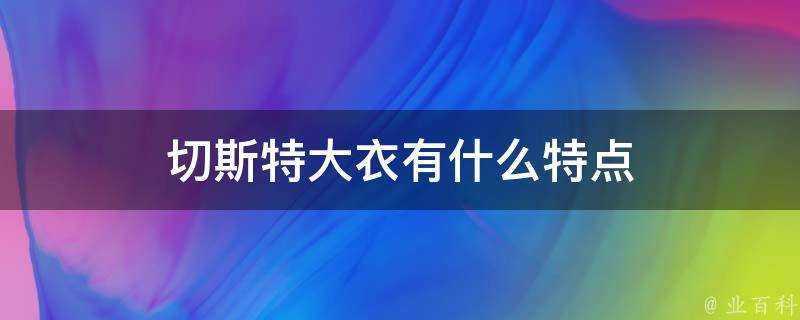 切斯特大衣有什麼特點