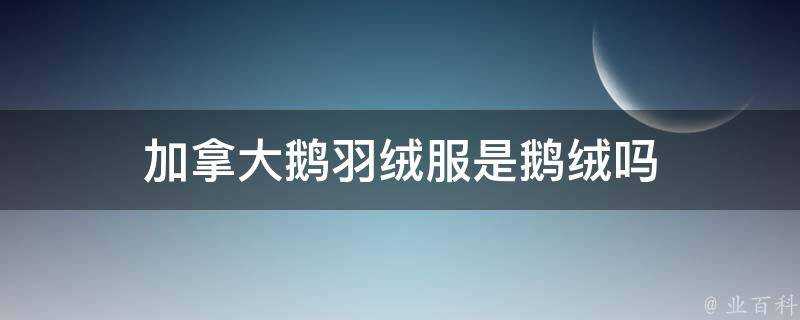 加拿大鵝羽絨服是鵝絨嗎