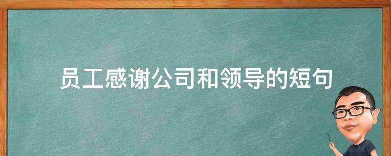 員工感謝公司和領導的短句