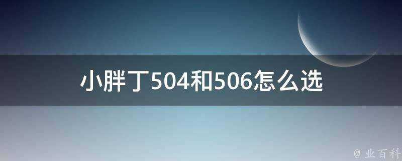 小胖丁504和506怎麼選