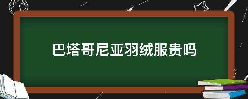 巴塔哥尼亞羽絨服貴嗎