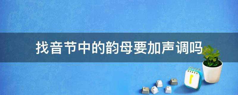 找音節中的韻母要加聲調嗎