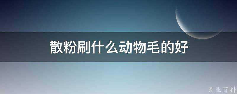 散粉刷什麼動物毛的好