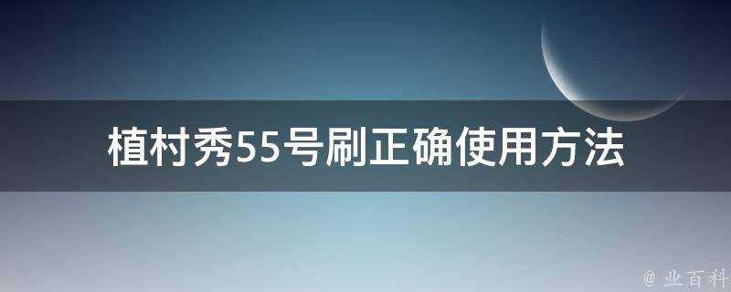 植村秀55號刷正確使用方法