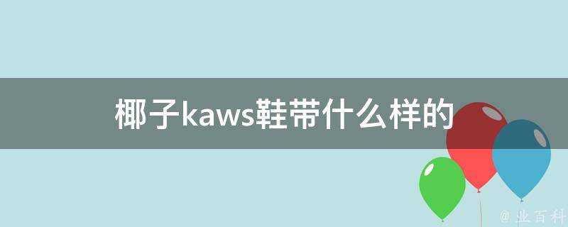 椰子kaws鞋帶什麼樣的