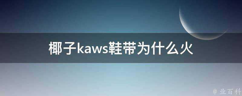 椰子kaws鞋帶為什麼火